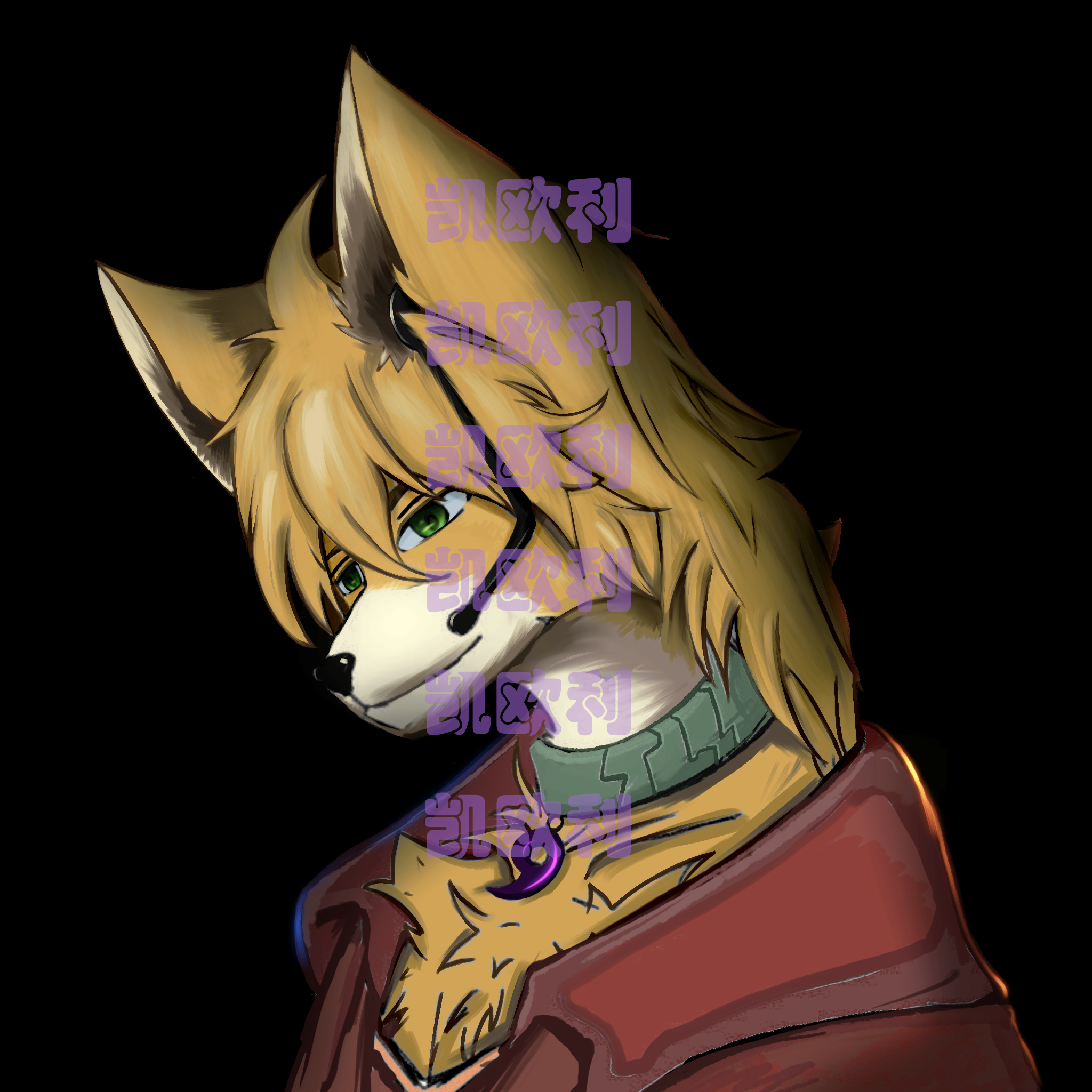 凯欧利 拾荒者.png