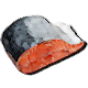salmon.png