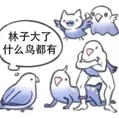 林子大了