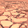 drought.png