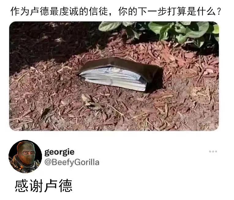 远星memesIMG_637820240226-074648 - 副本.JPG