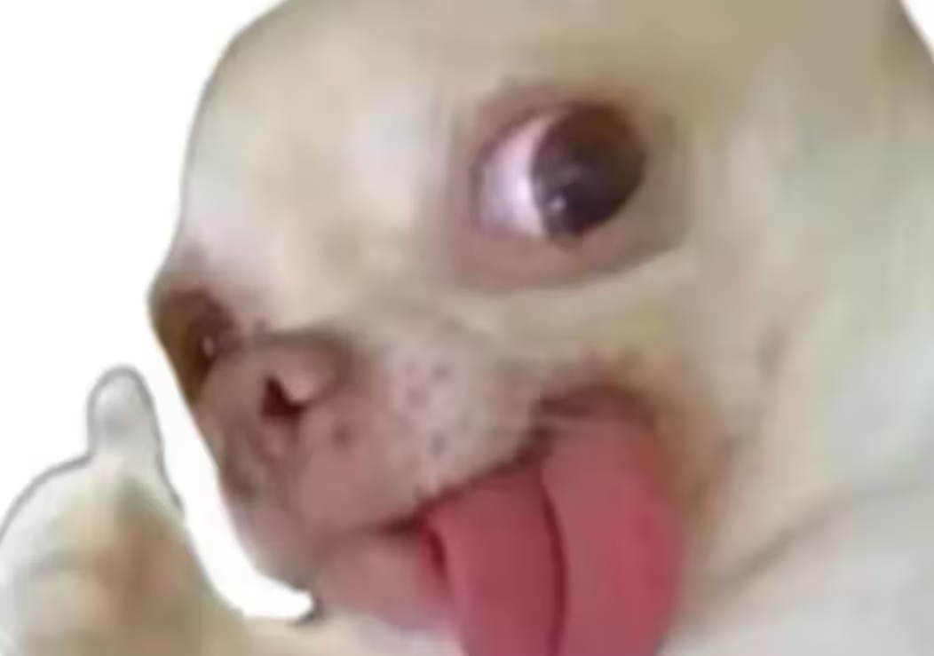F3F0146BBF232F035877BC496070EA25.jpg