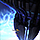 log_coronal_tap2.png