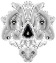HShmN88.png