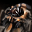 destroyed_weapon_mounts.png