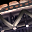 reinforced_bulkheads.png